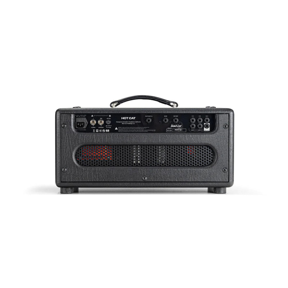 Bad Cat Hot Cat 50 Mod Shop Head - 120V
