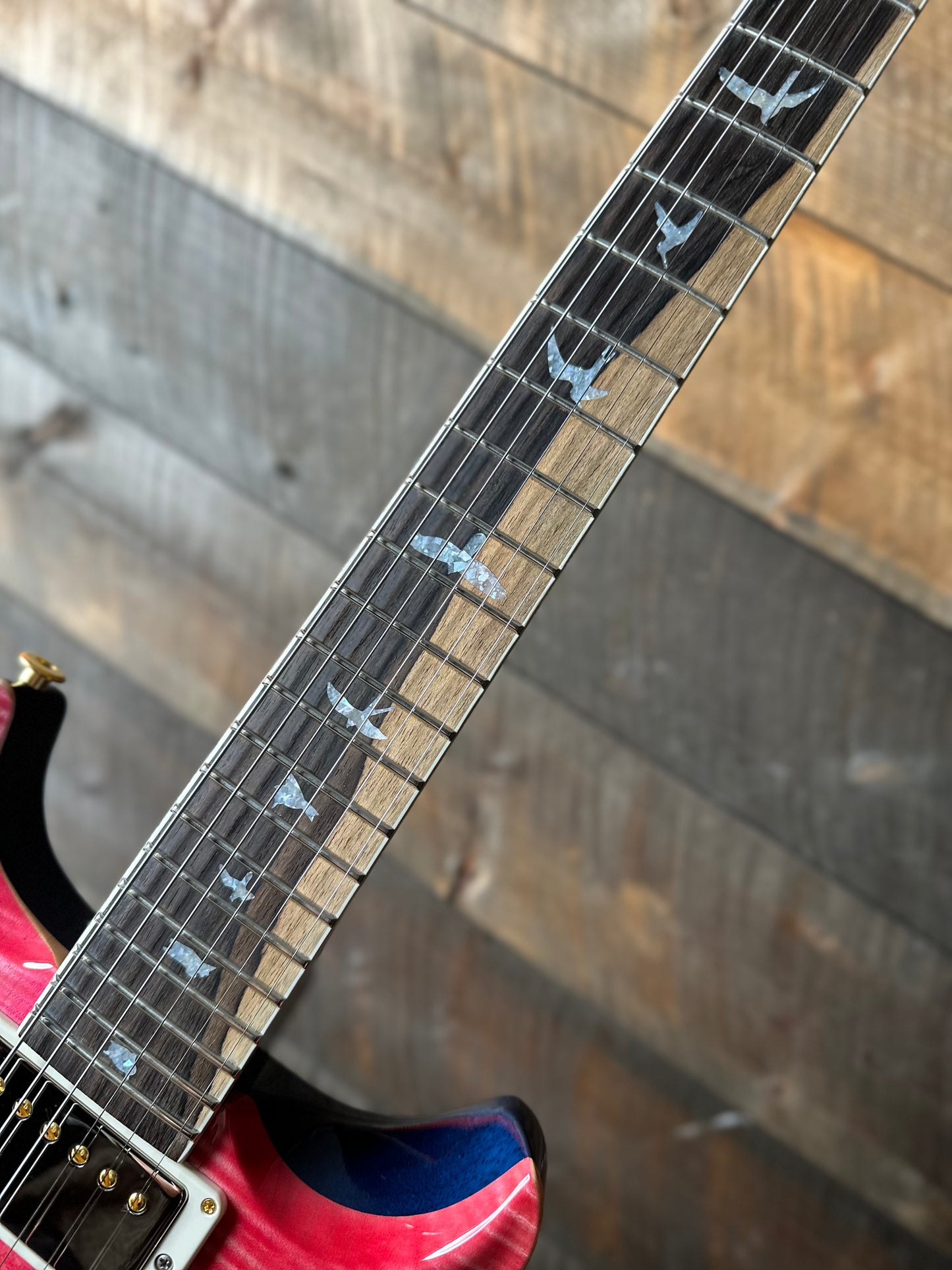 PRS Wood Library Santana Retro 10 Top, Korina Back & Neck, Ziricote FB!! - Bonnie Pink W/Blue Back! 418668