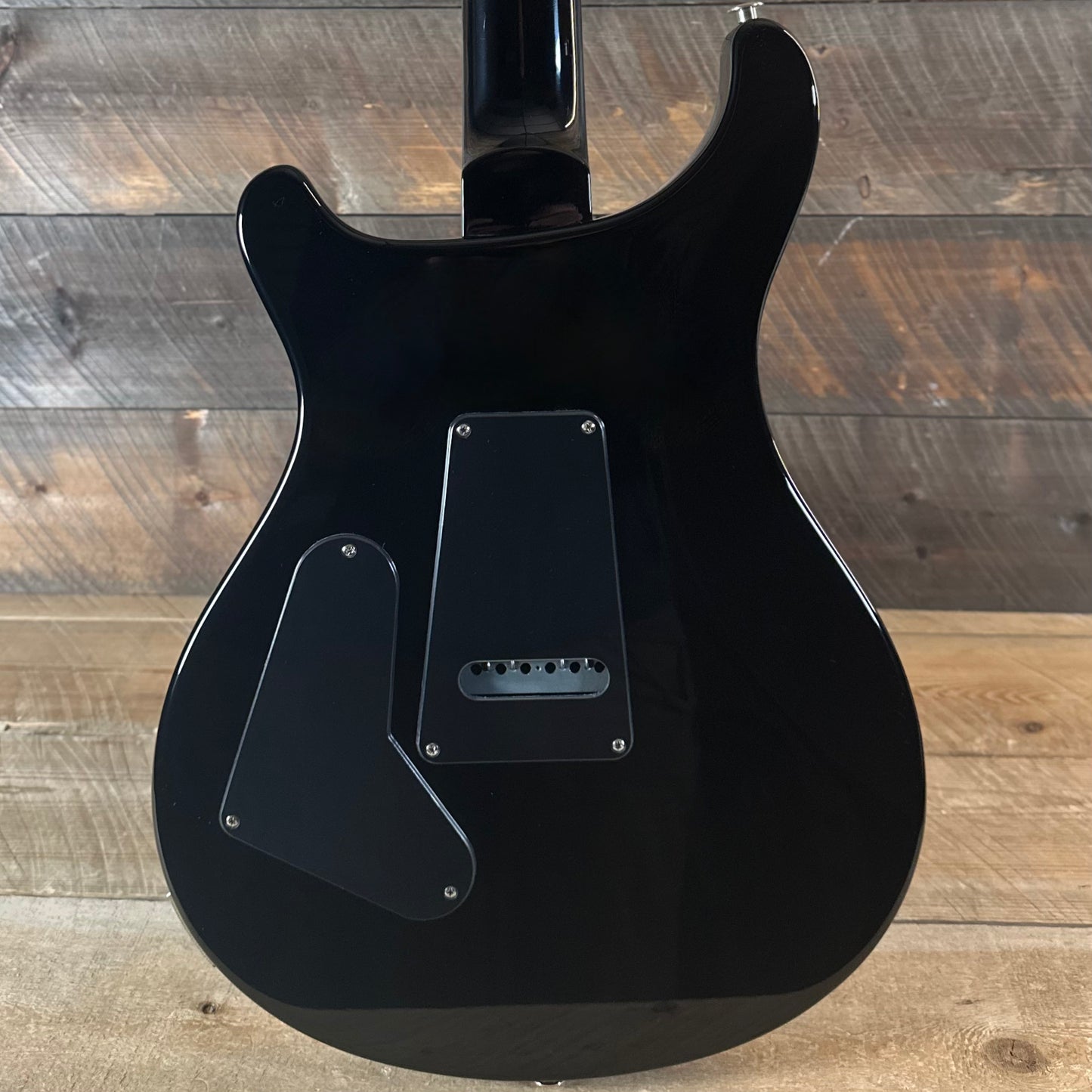 PRS S2 Custom 24 - Sprayers Choice Nebula Sparkle S2088912