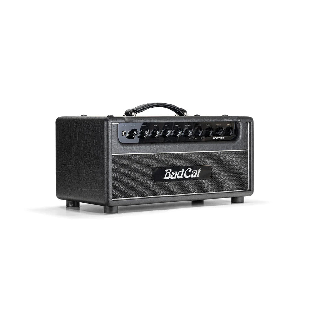 Bad Cat Hot Cat 50 Mod Shop Head - 120V