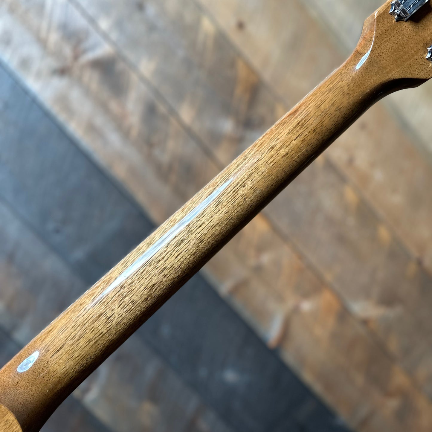 Gibson Les Paul Standard 50s P-90 - Goldtop 232950113