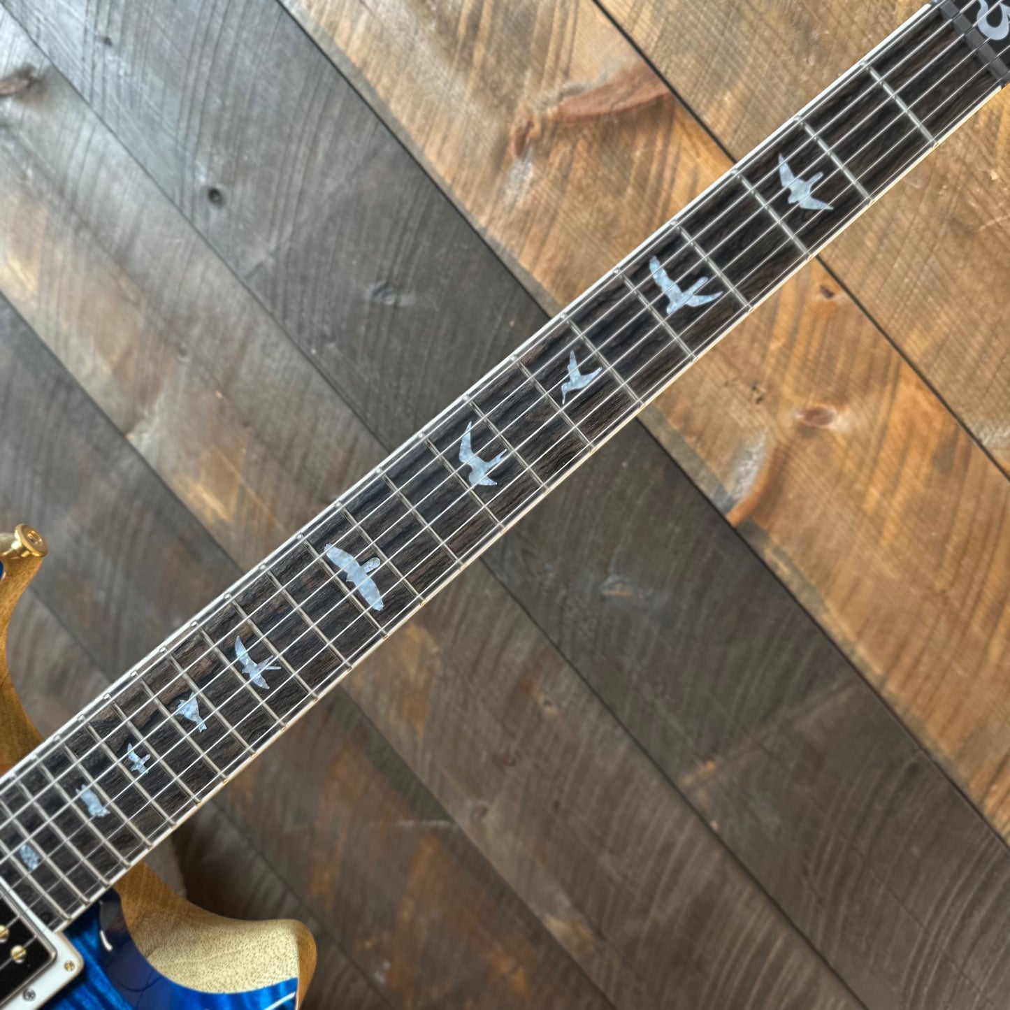 PRS Wood Library Santana Retro Korina Back & Neck, Ziricote FB - Aquamarine 430120