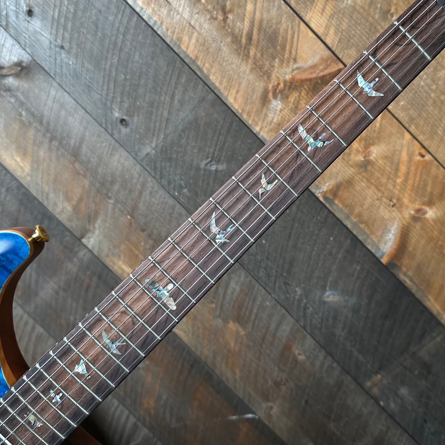 PRS DGT David Grissom Signature Wood Library Flame Maple 10 Top, Brazilian Rosewood FB - Aquamarine 410964