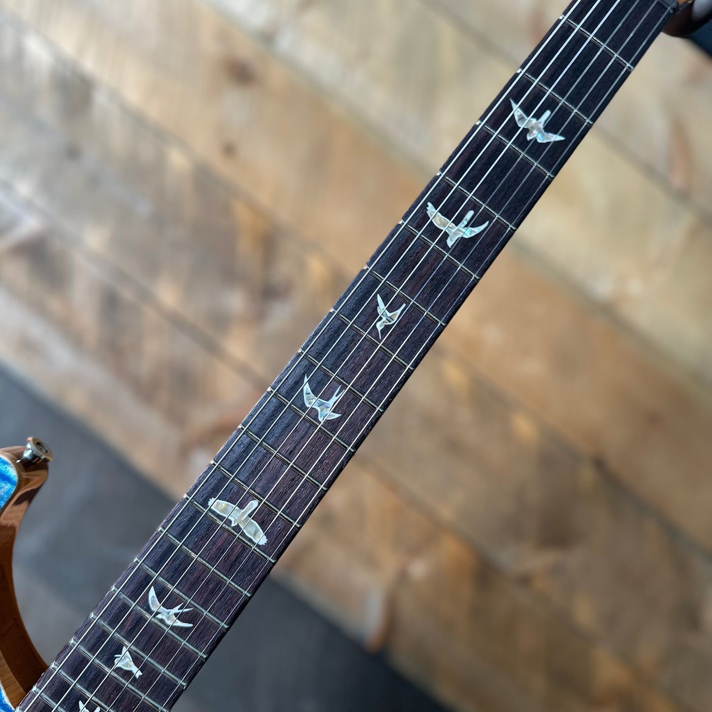 PRS DGT  (David Grissom Trem) W/Birds - Faded Blue Jean 402304