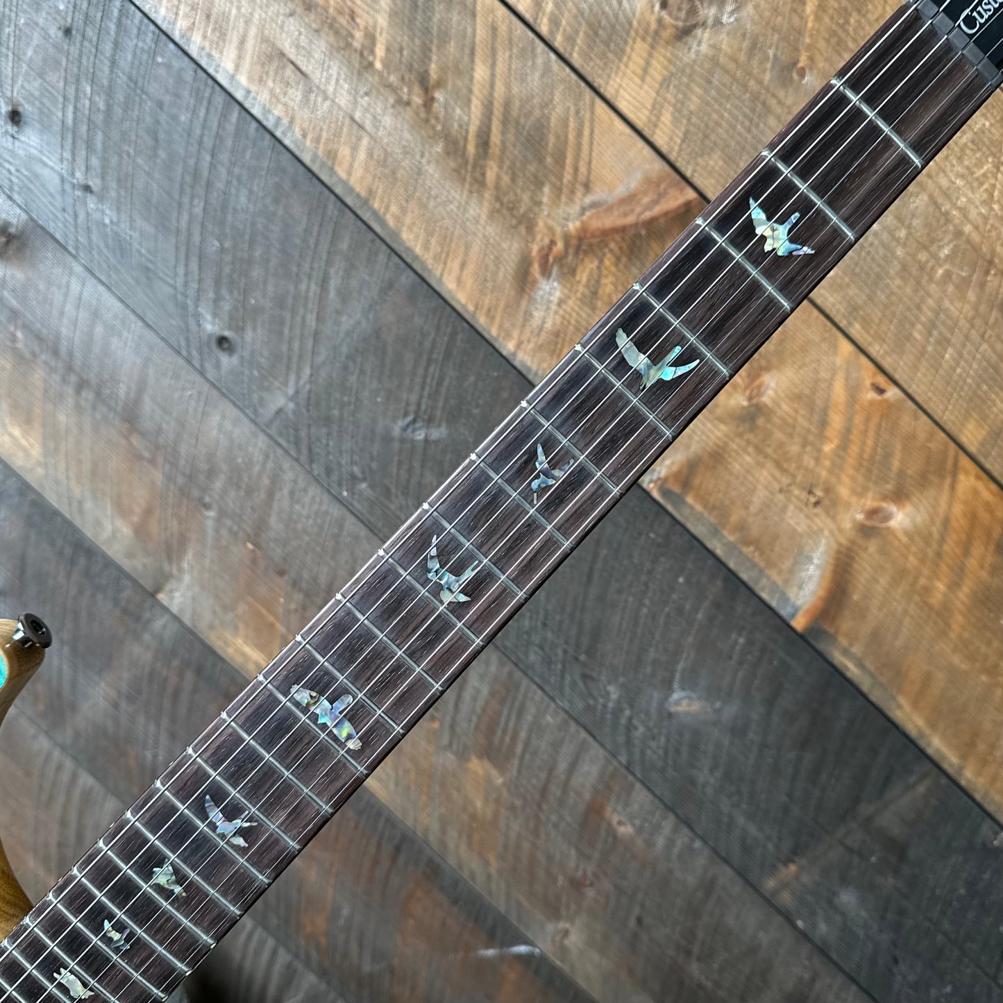 PRS Wood Library Custom 24 Flame Top  Brazilian Rosewood Fretboard!  - Blue Fade 411443