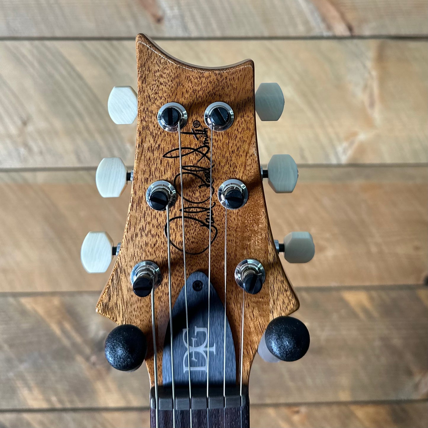 PRS DGT  (David Grissom Trem) W/Birds - Faded Blue Jean 402304