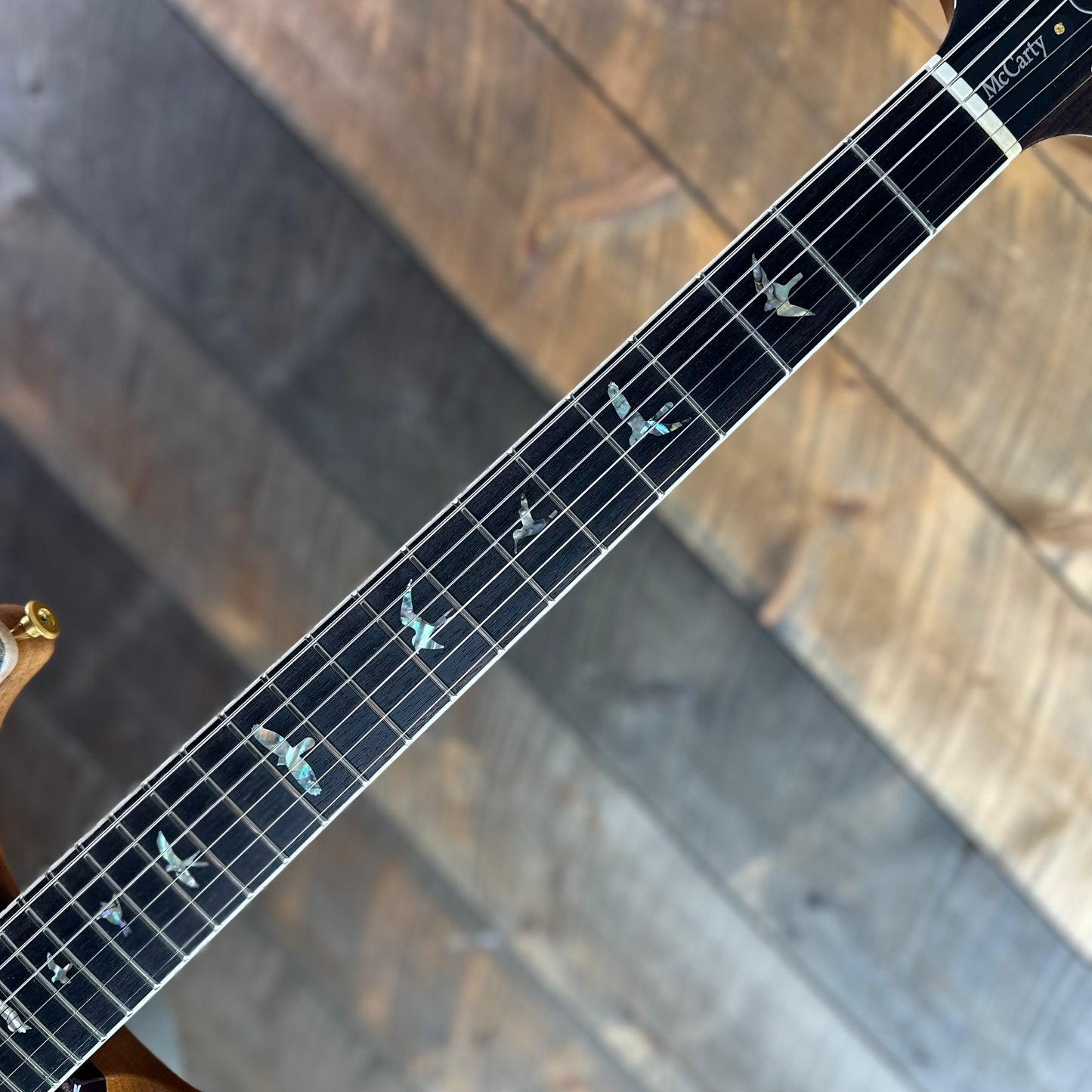 PRS McCarty - Aurora Borealis 416985