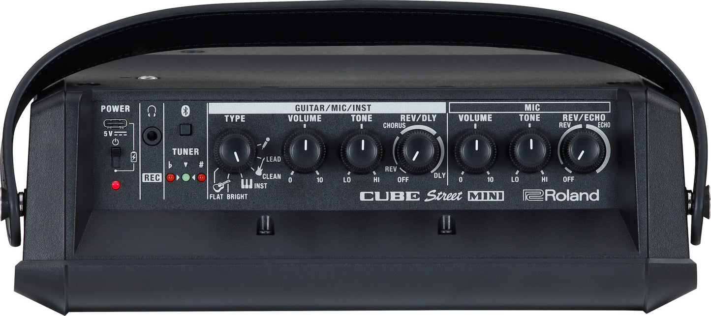 Roland Cube Street Mini Multi Instrument Battery Amplifier