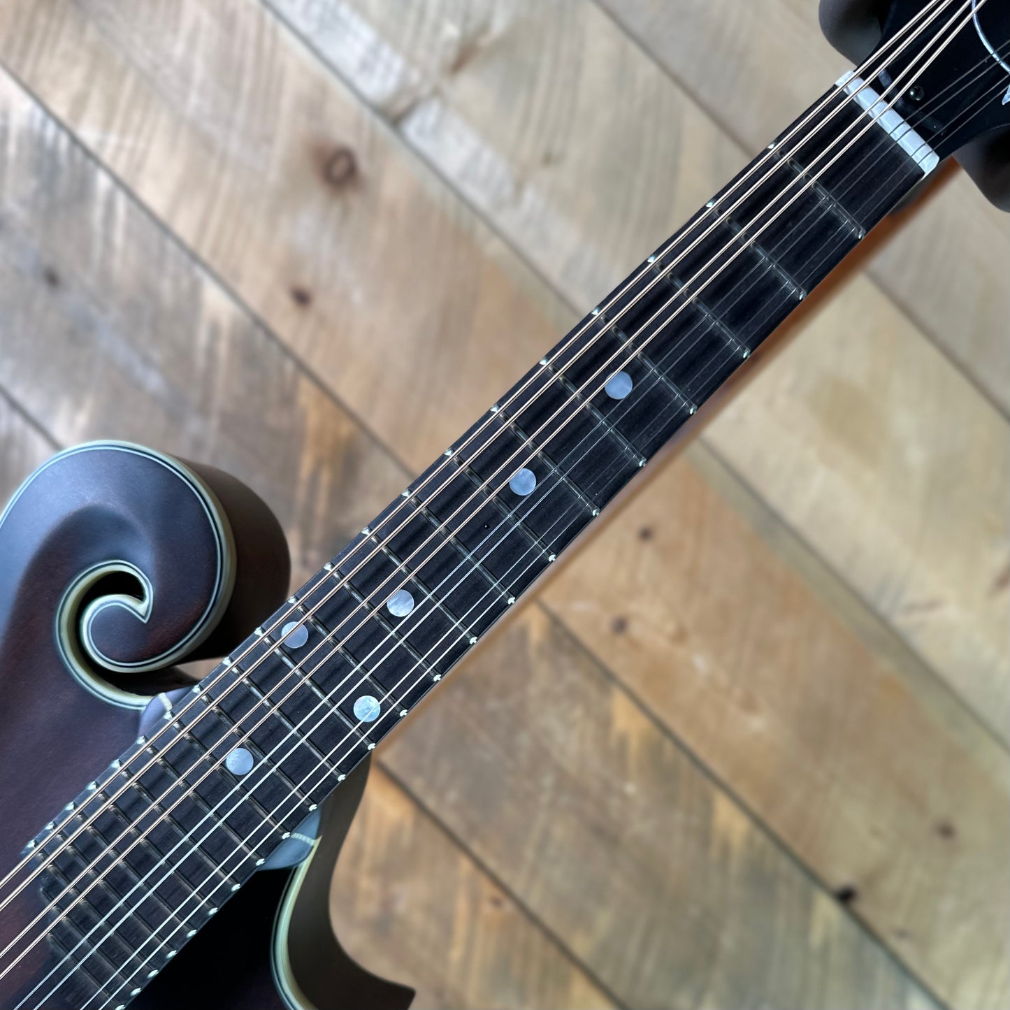 Eastman MD315 F Style Mandolin All Solid Satin