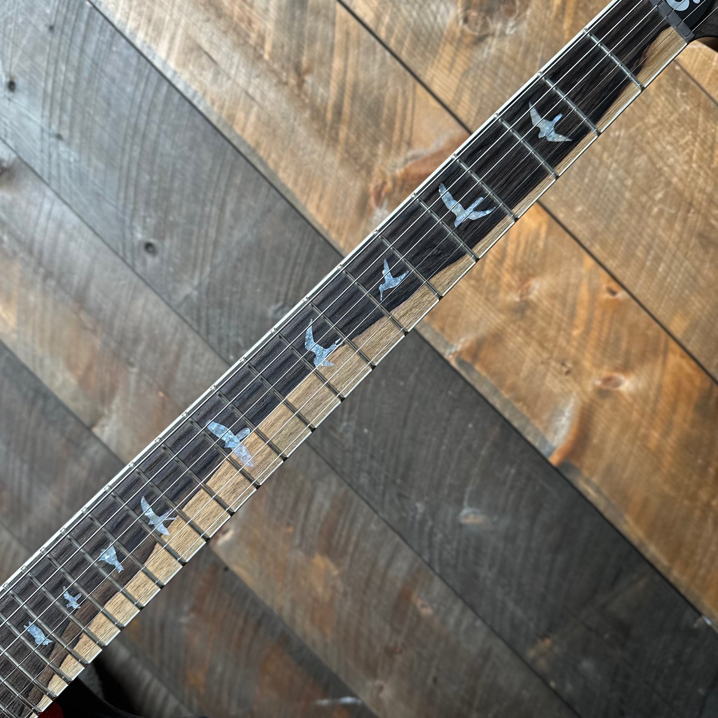 PRS Wood Library Santana Retro 10 Top, Korina Back & Neck, Ziricote FB!! - Bonnie Pink W/Blue Back! 418668