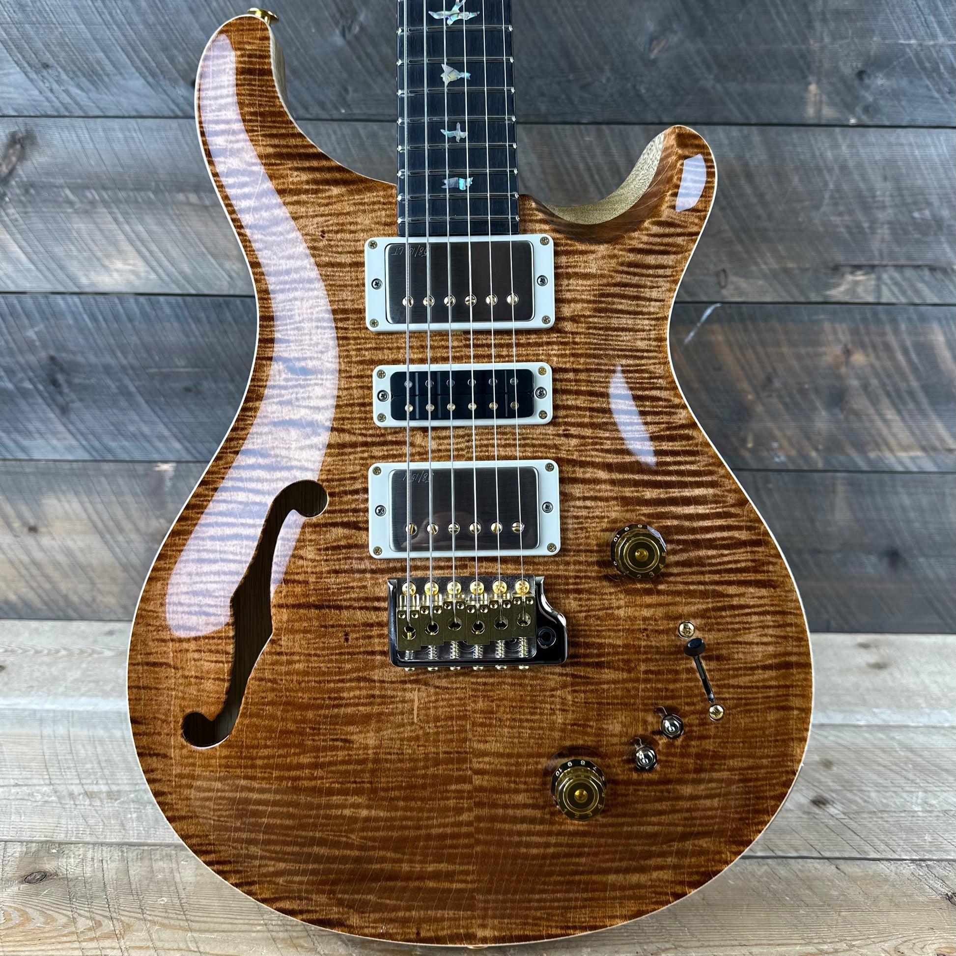 ギター PRS Special 22 Semi-hollow 10 top PRS Special Semi-Hollow ギター PRS Special 22 Semi-hollow 10 top PRS Special Semi-Hollow