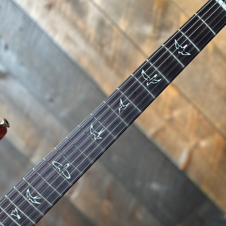 PRS Fiore HH - Amaryllis 422357