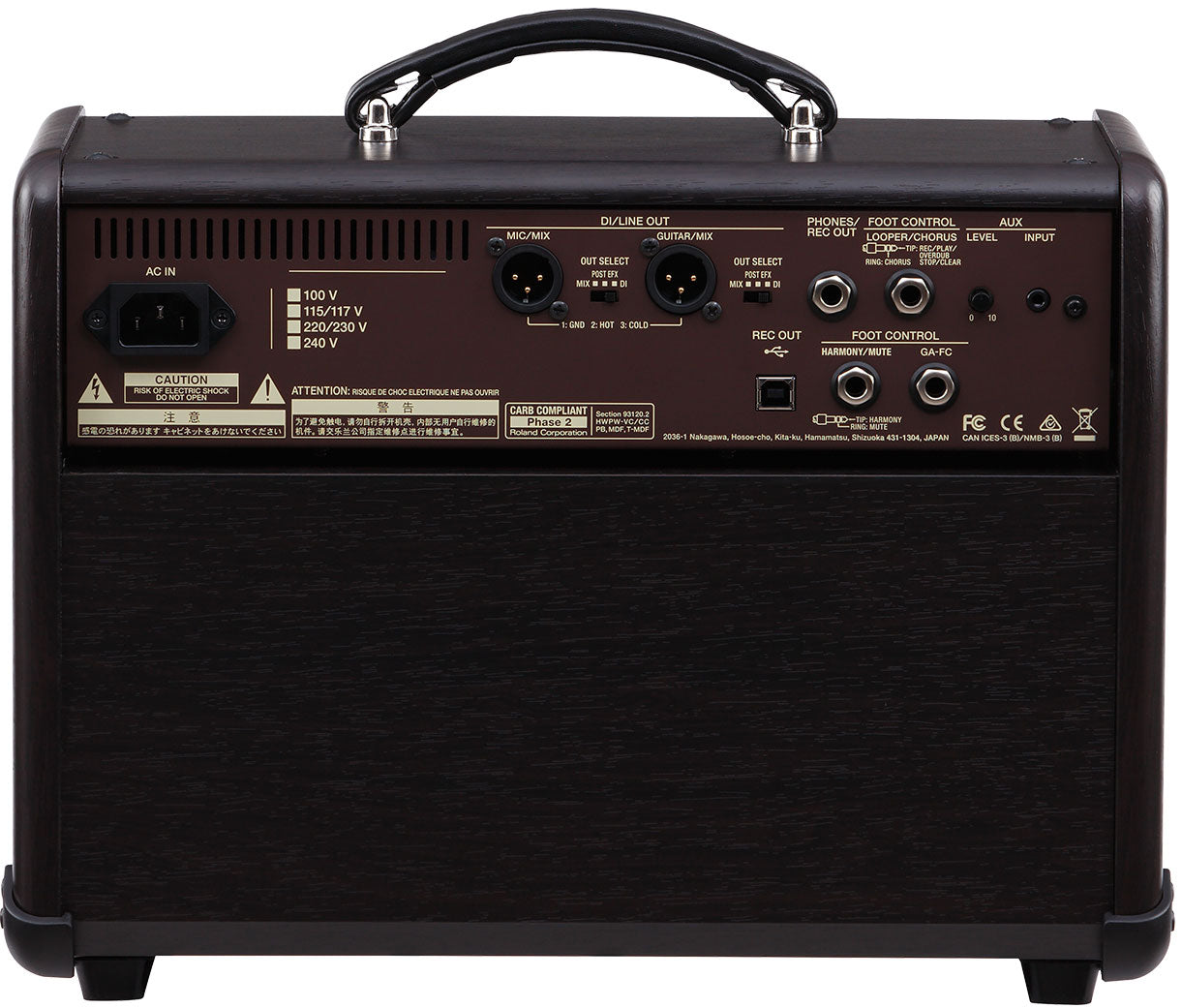 Boss Acoustic Singer Live Acoustic Amplifier