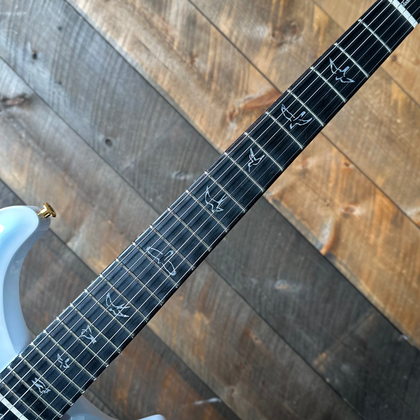 PRS Modern Eagle V W/Ebony FB Custom Color - Reverse Cloud Burst 402709