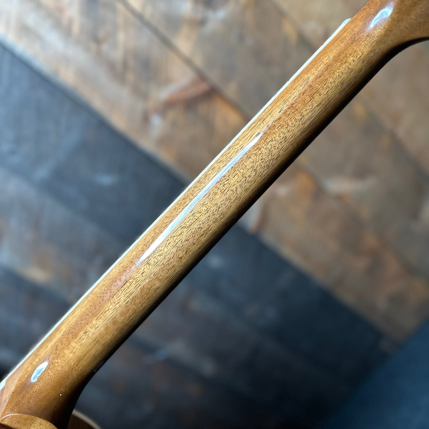 Gibson Les Paul Standard 50's Plain Top - Honey Amber 230750097