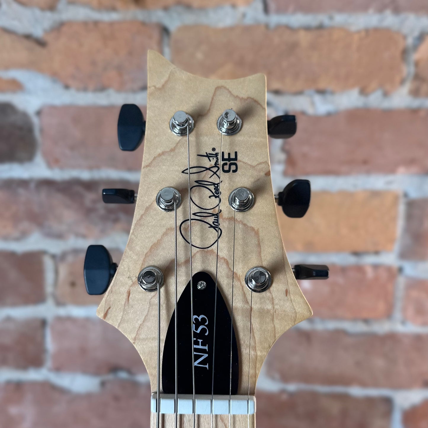 PRS SE NF53 - White Doghair CTI006838