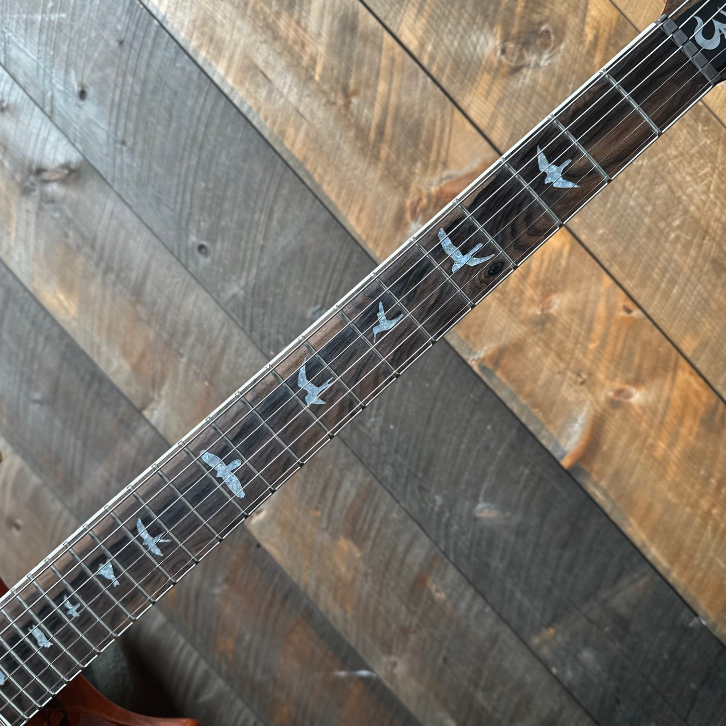 PRS Wood Library Santana Retro Korina Back & Neck, Ziricote FB!! - Autumn Sky 418562