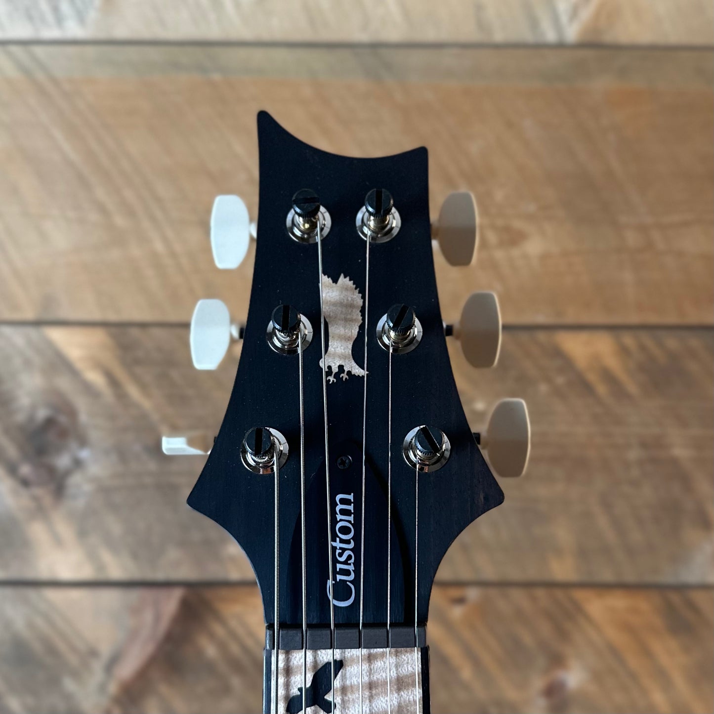 PRS Custom 24 "Birds of a Feather" Limited Edition - Charcoal Microburst 430574