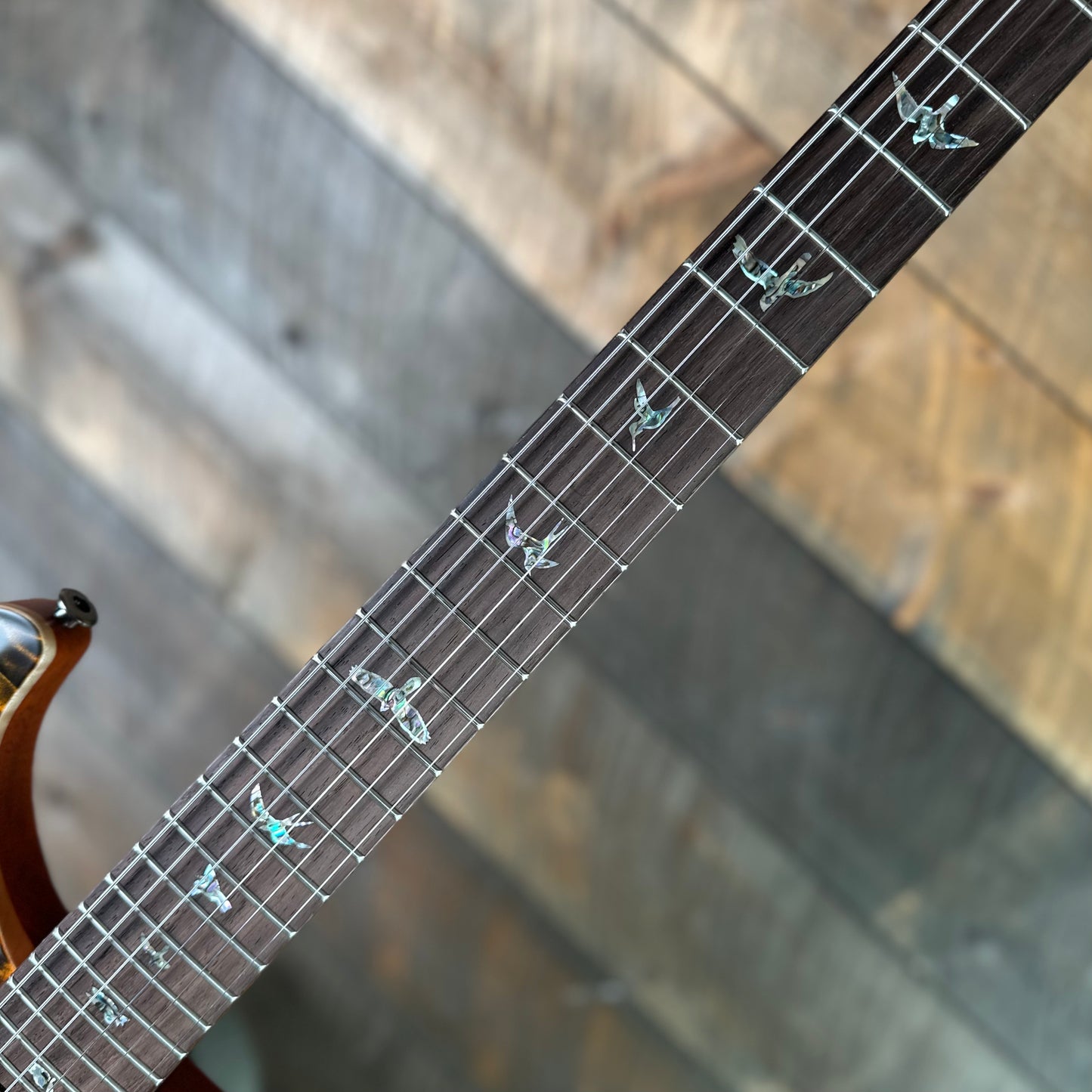 PRS Wood Library Custom 24 Amazing Quilted 10 top!!, Korina Body/Neck, Brazilian Rosewood FB - Satin Burnt Maple Leaf 423678