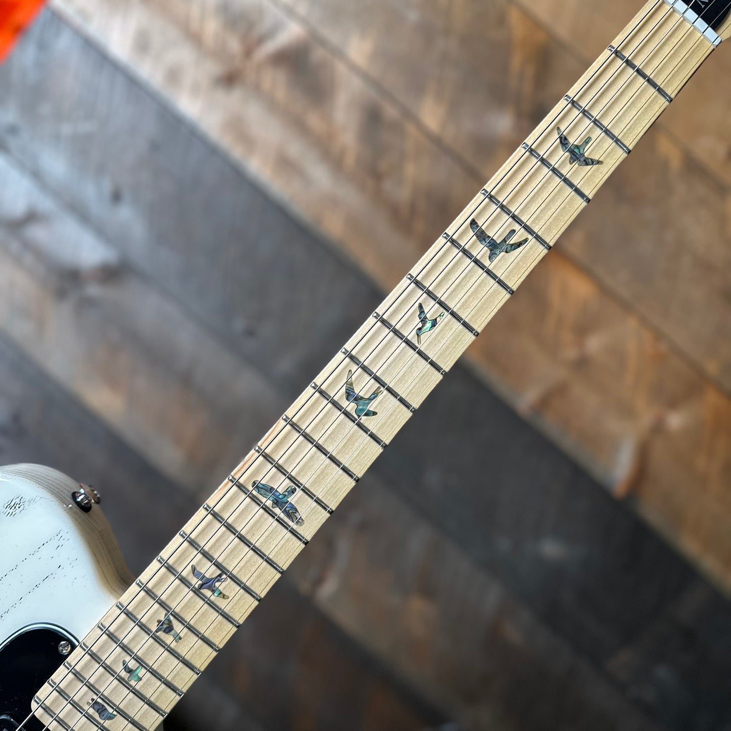 PRS SE NF53 - White Doghair 26931