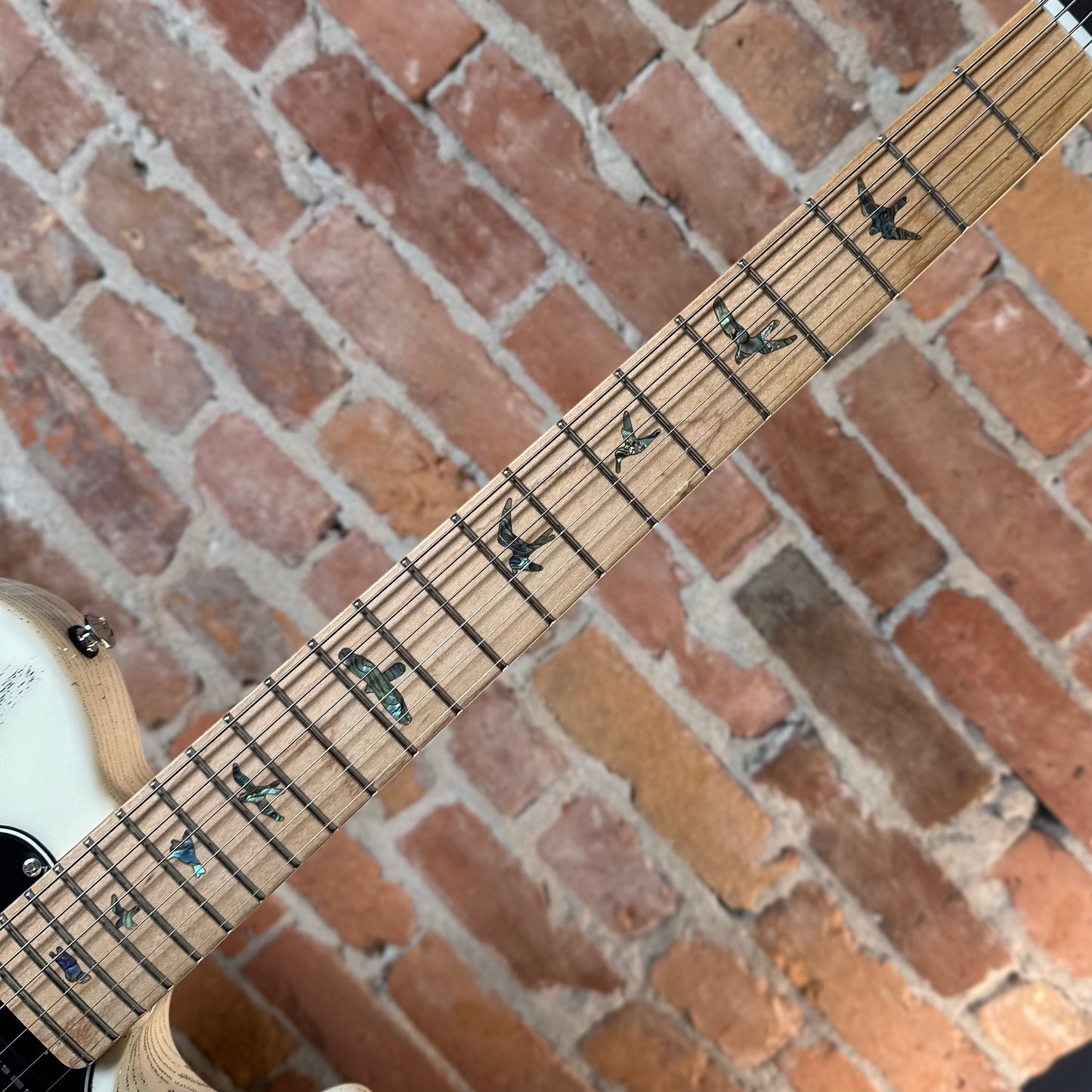 PRS SE NF53 - White Doghair CTI006838