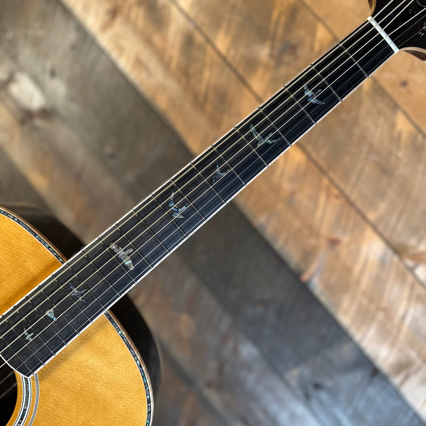 *PRS Roadshow Guitar* PRS SE Tonare T60E Acoustic - Natural