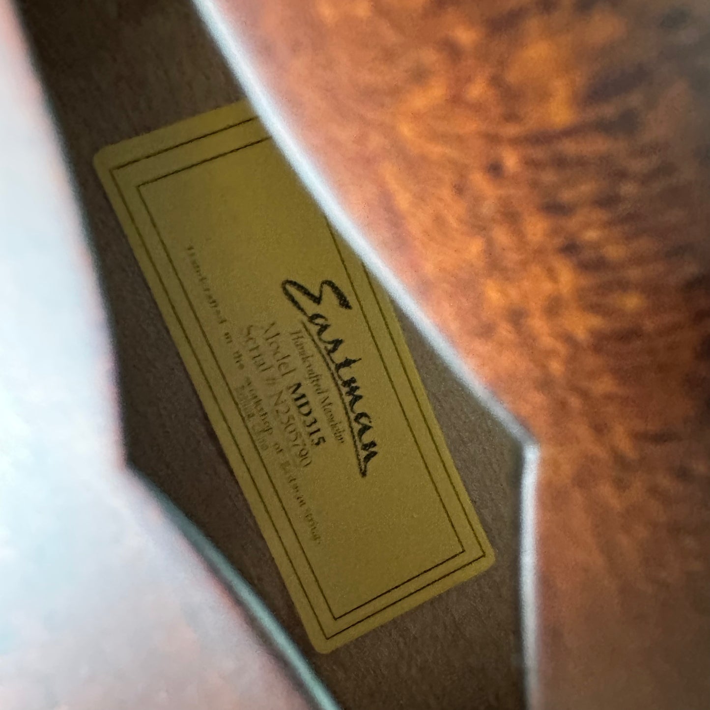 Eastman MD315 F Style Mandolin All Solid Satin