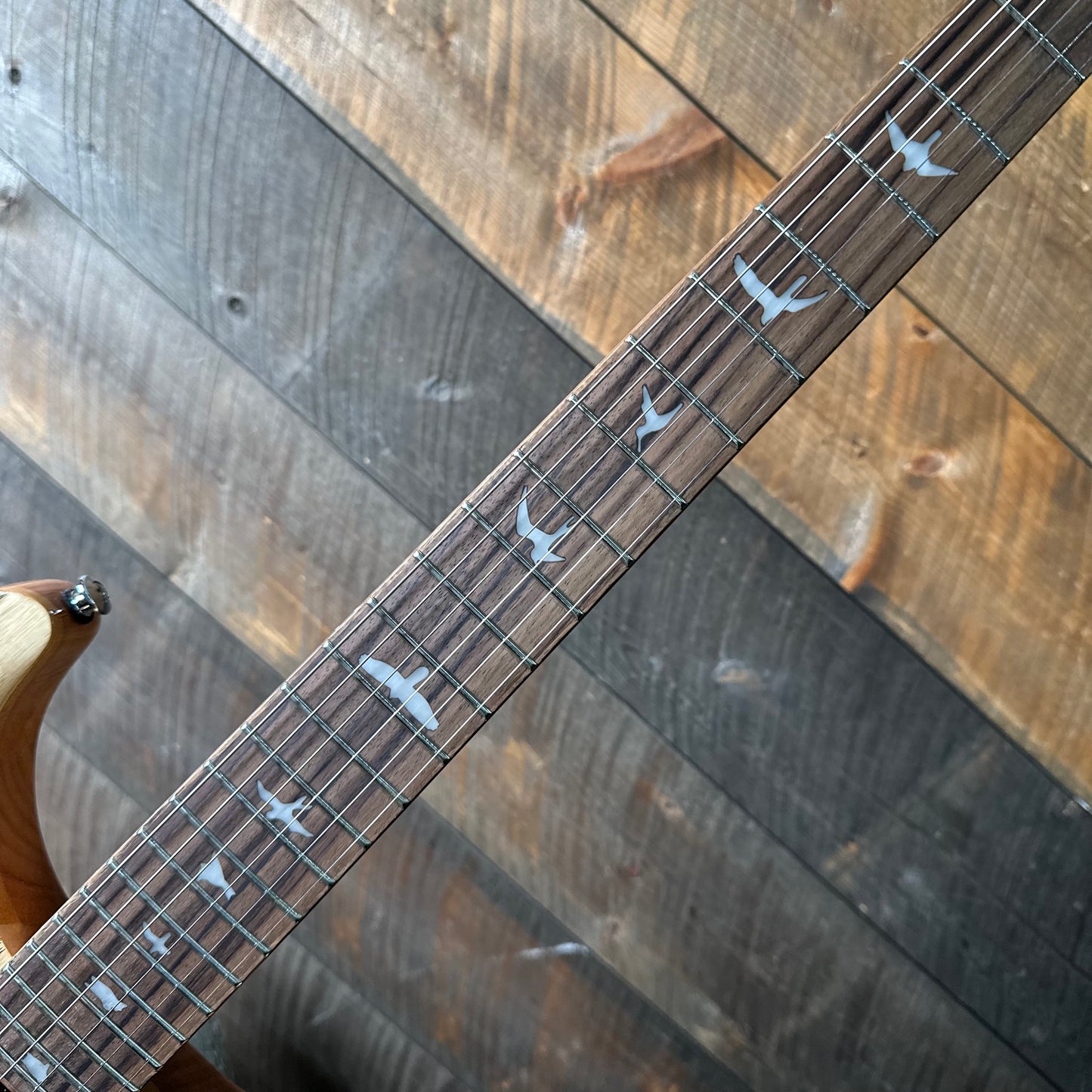 PRS SE Custom 24 Burled Ash Limited Edition - Natural 101163