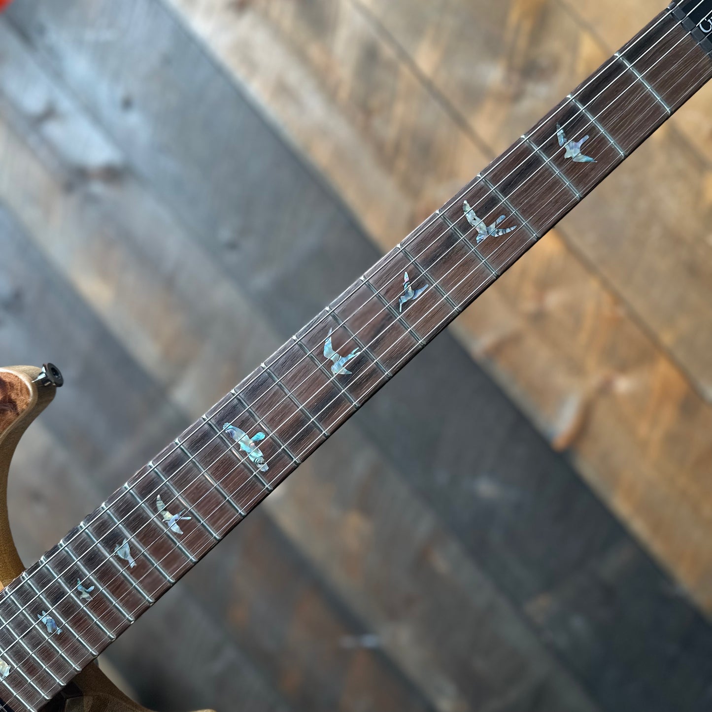 PRS Wood Library Custom 24 Quilt Top Brazilian Rosewood Fretboard! - Copperhead 411449