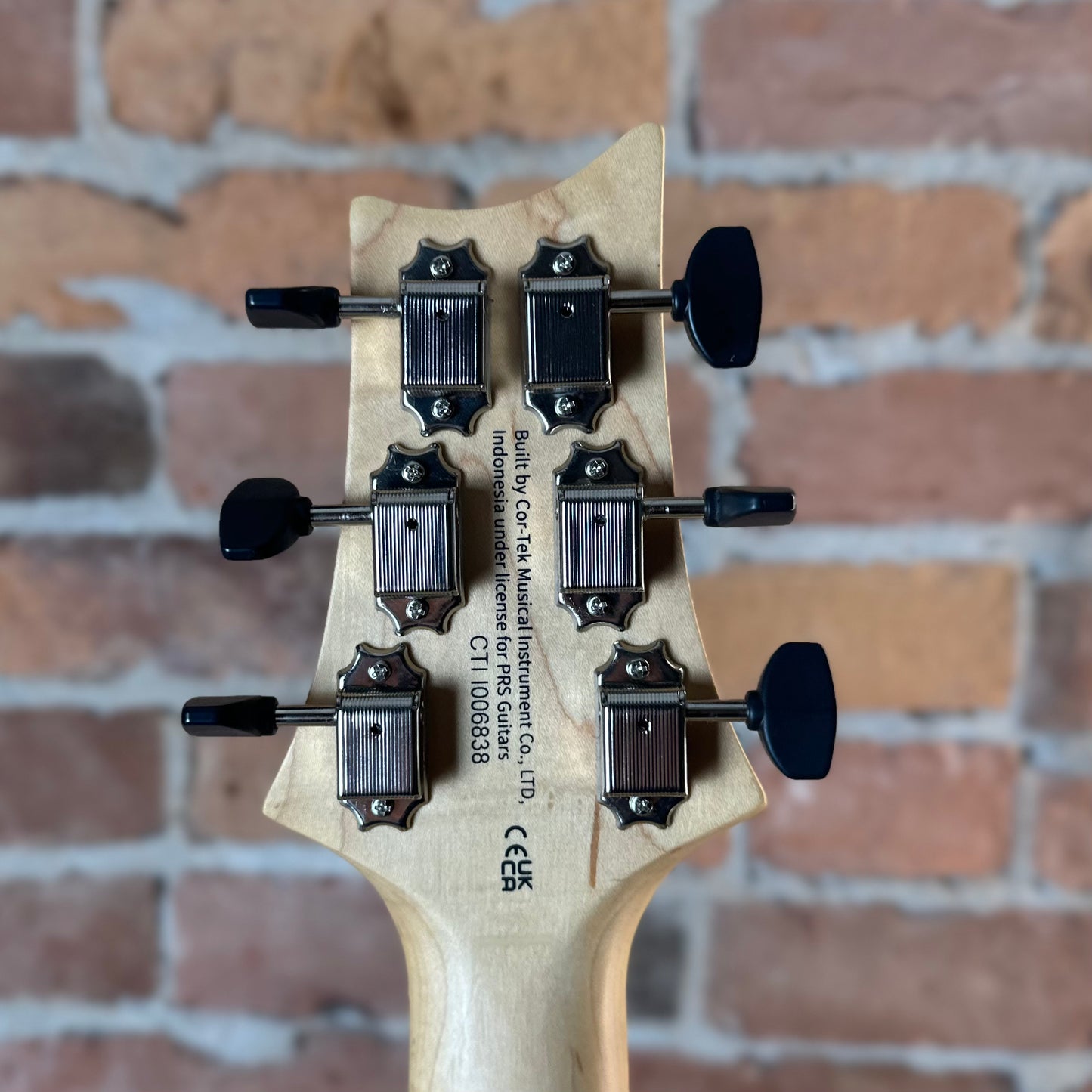 PRS SE NF53 - White Doghair CTI006838