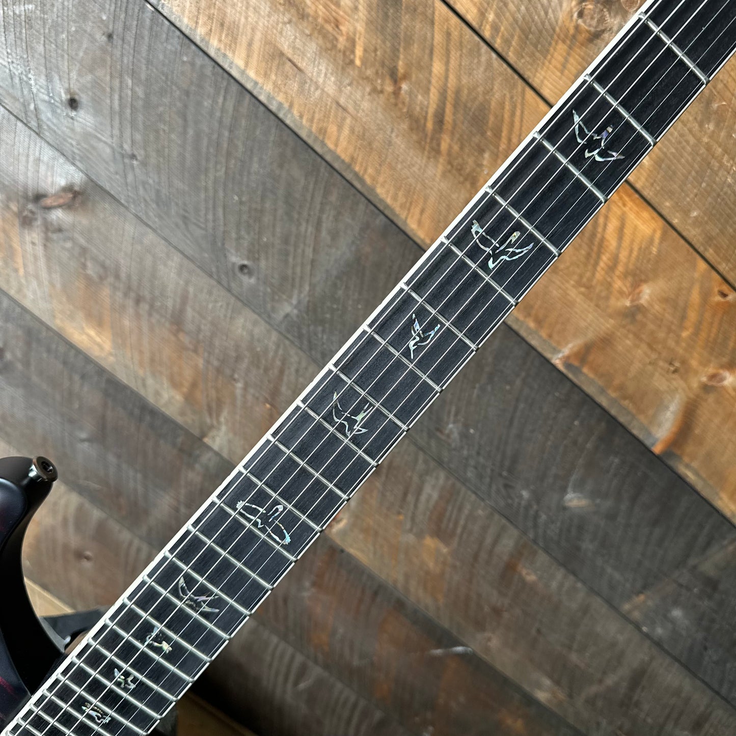 PRS Mark Holcomb Signature Core Model Holcomb Wraparound Burst 410609