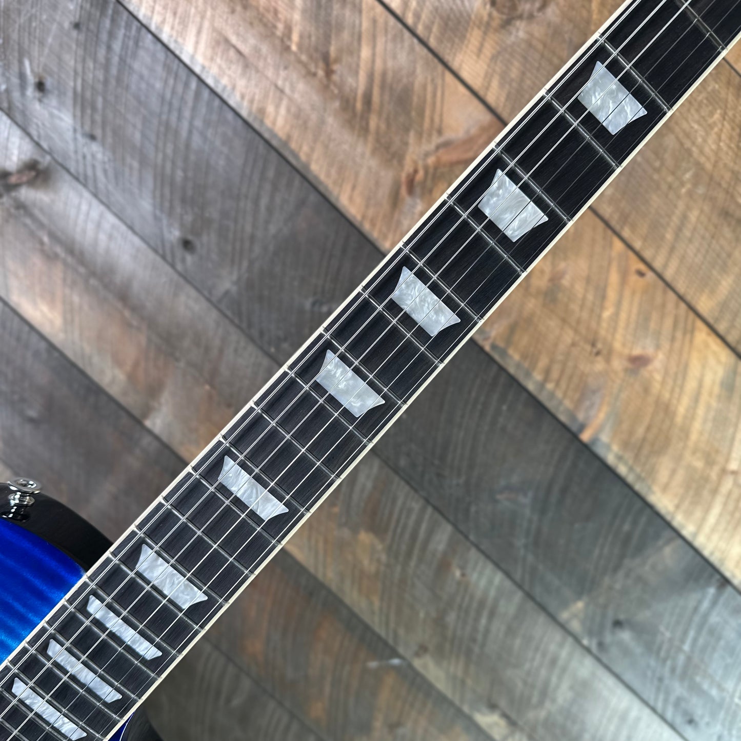 Gibson Les Paul Studio Session - Cobalt Burst 205560199