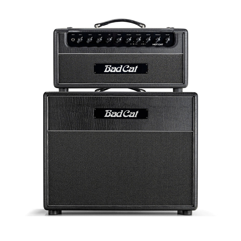 Bad Cat Hot Cat 50 Mod Shop Head - 120V