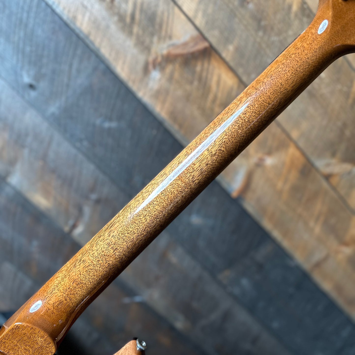 PRS Special Semi-Hollow Custom Color - RARE!! Dragonscale Holoflake!! 415581