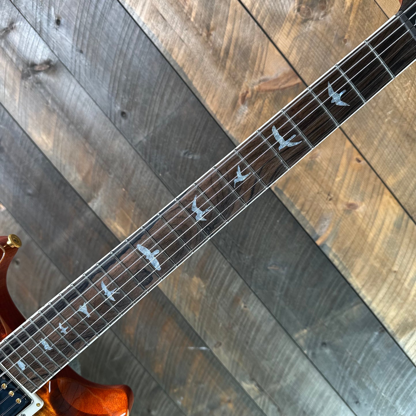 PRS Wood Library Santana Retro Korina Back & Neck, Ziricote FB!! - Autumn Sky 418558