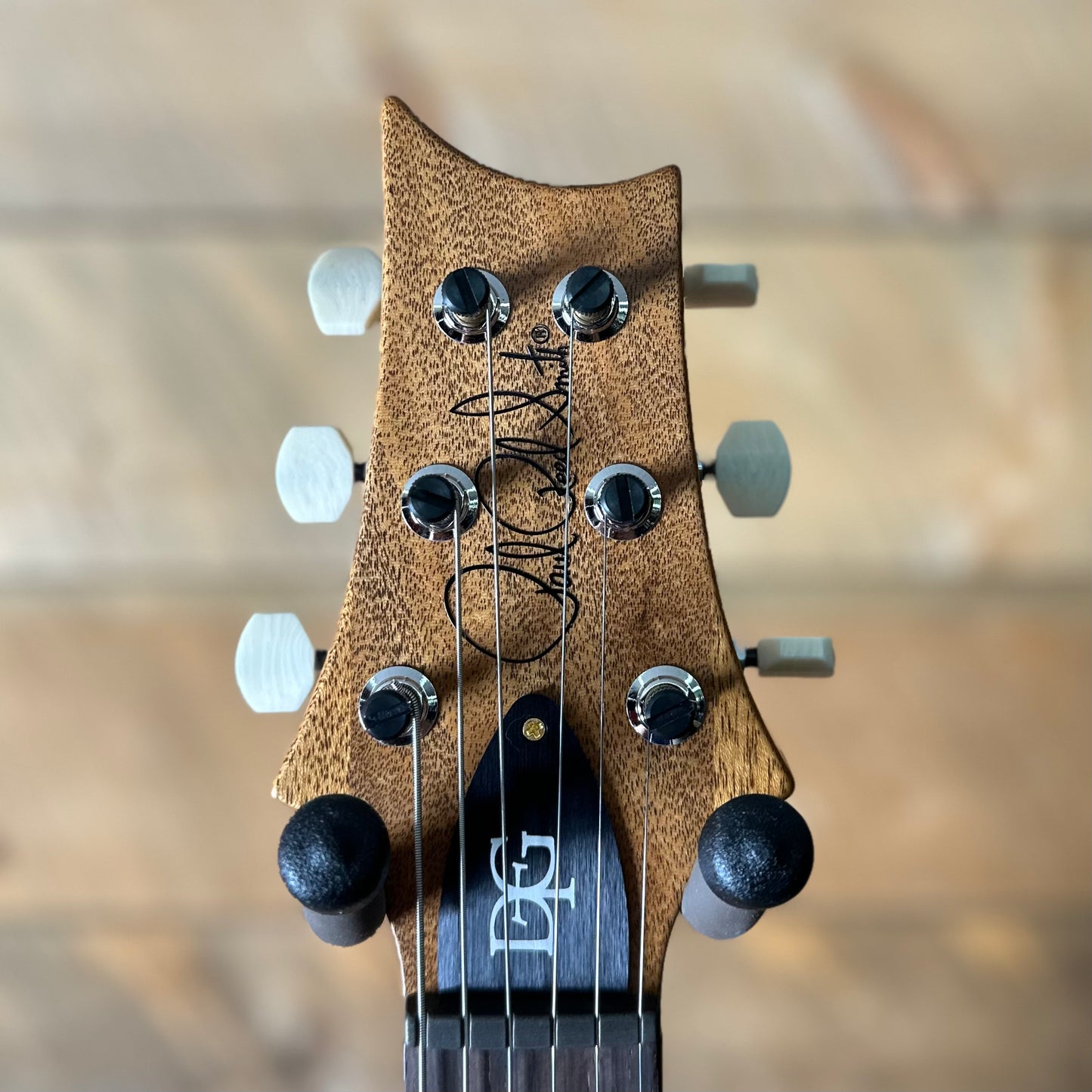 PRS DGT David Grissom Signature Wood Library Flame Maple 10 Top, Brazilian Rosewood FB - Aquamarine 410958