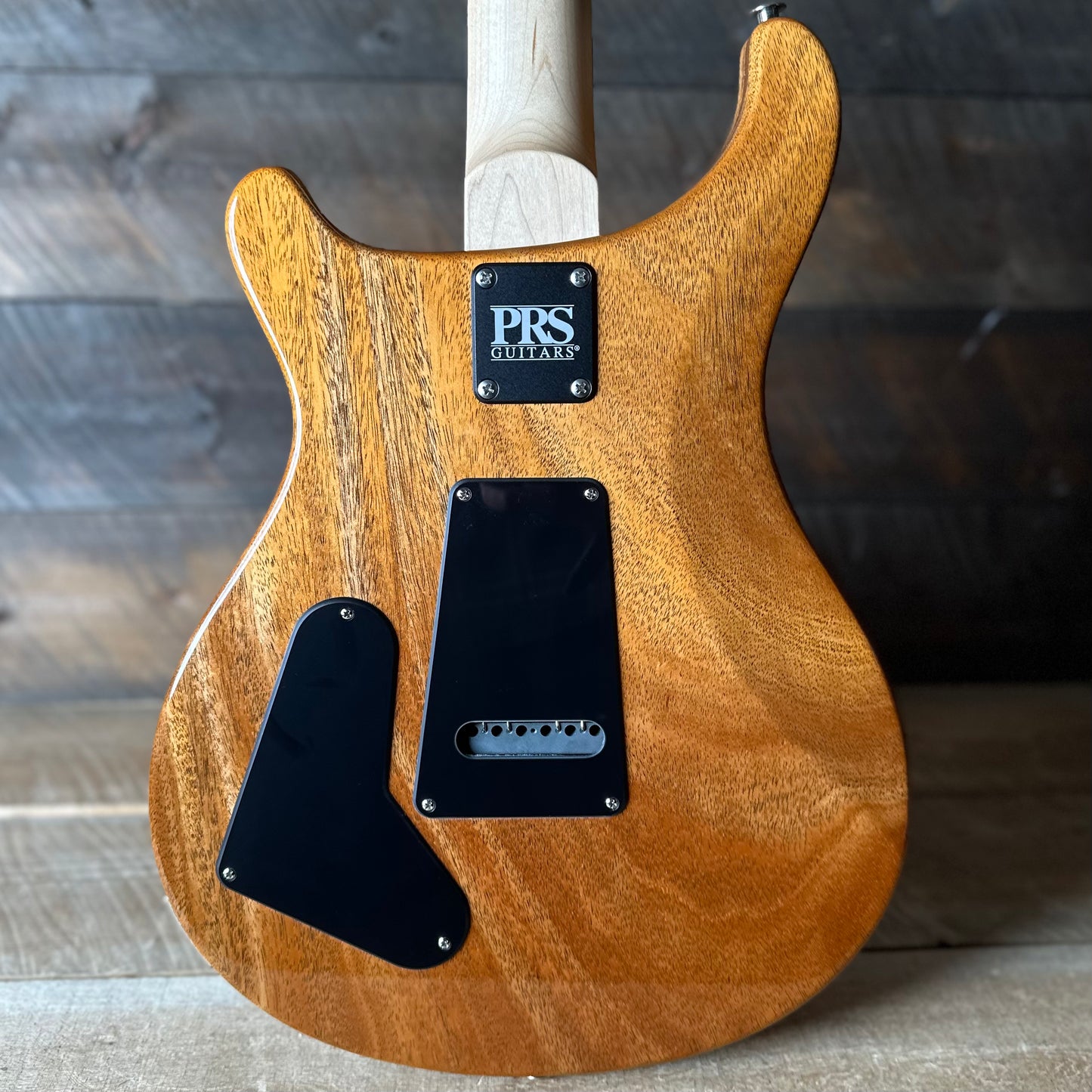 PRS CE 22 Limited Color!! - Celestial Metallic Sparkle, Natural Back 417247