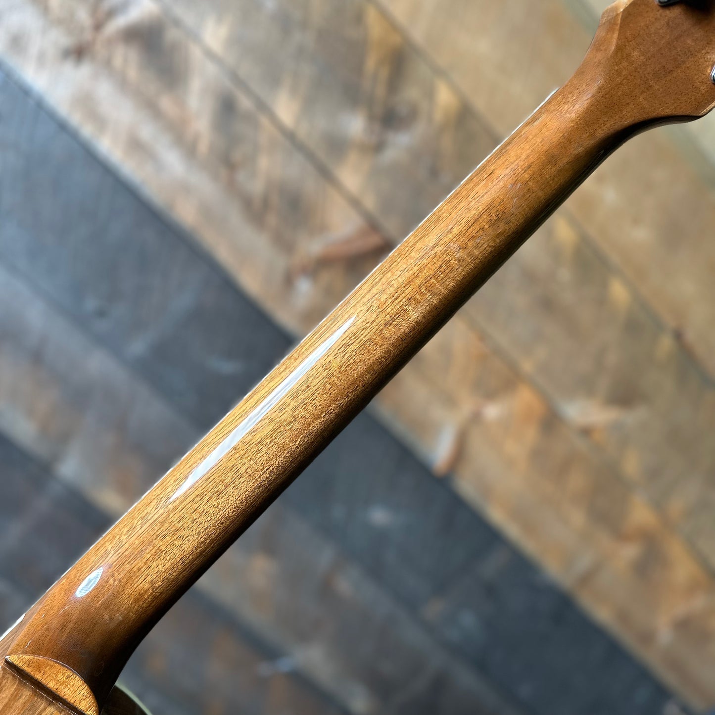 Gibson Les Paul Standard 60s Double Trouble - Vintage Honey Burst 218150327