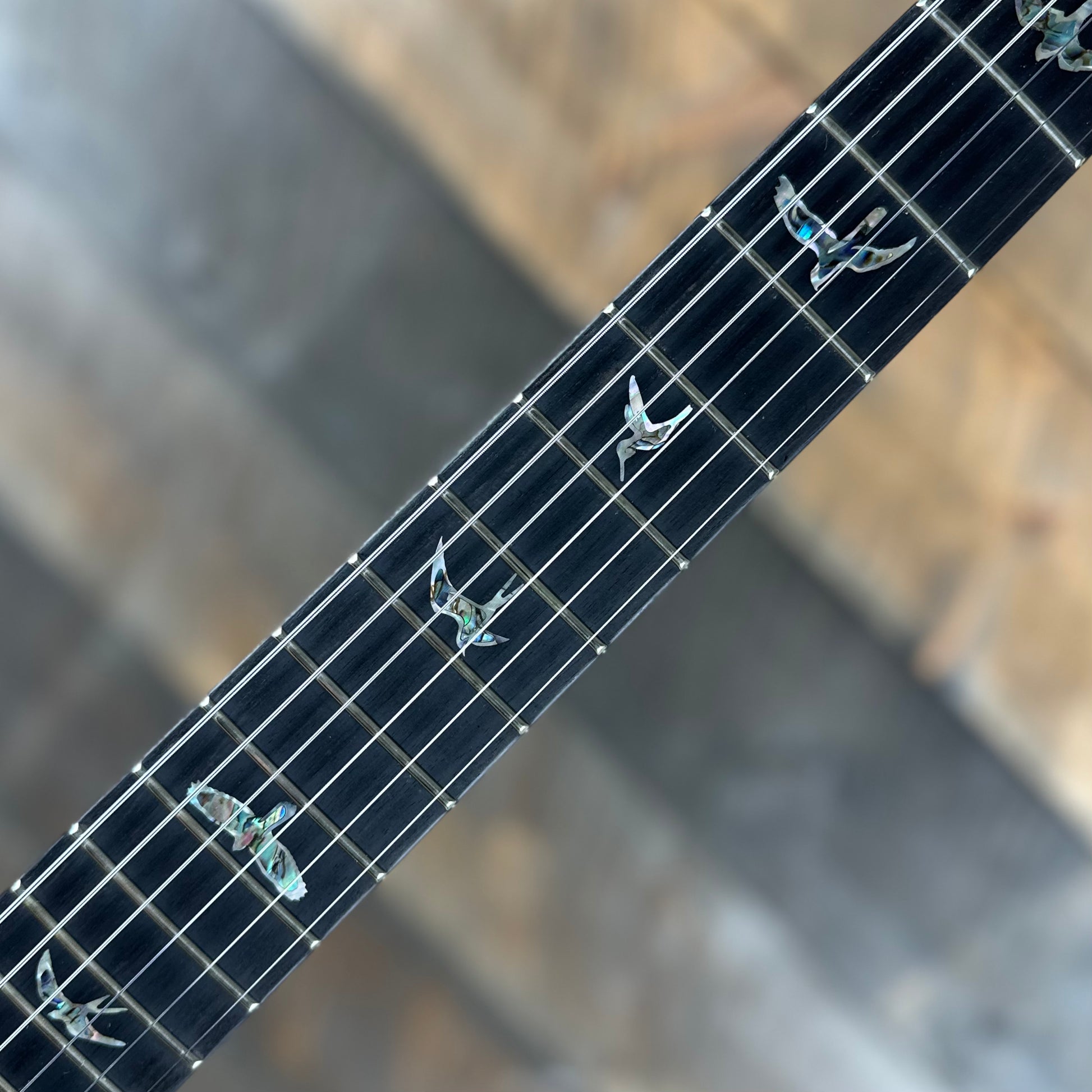 PRS Wood Library Custom 24 Semi-Hollow Flame Maple 10 Top Korina PRS Wood Library Custom 24 Semi-Hollow Flame Maple 10 Top Korina