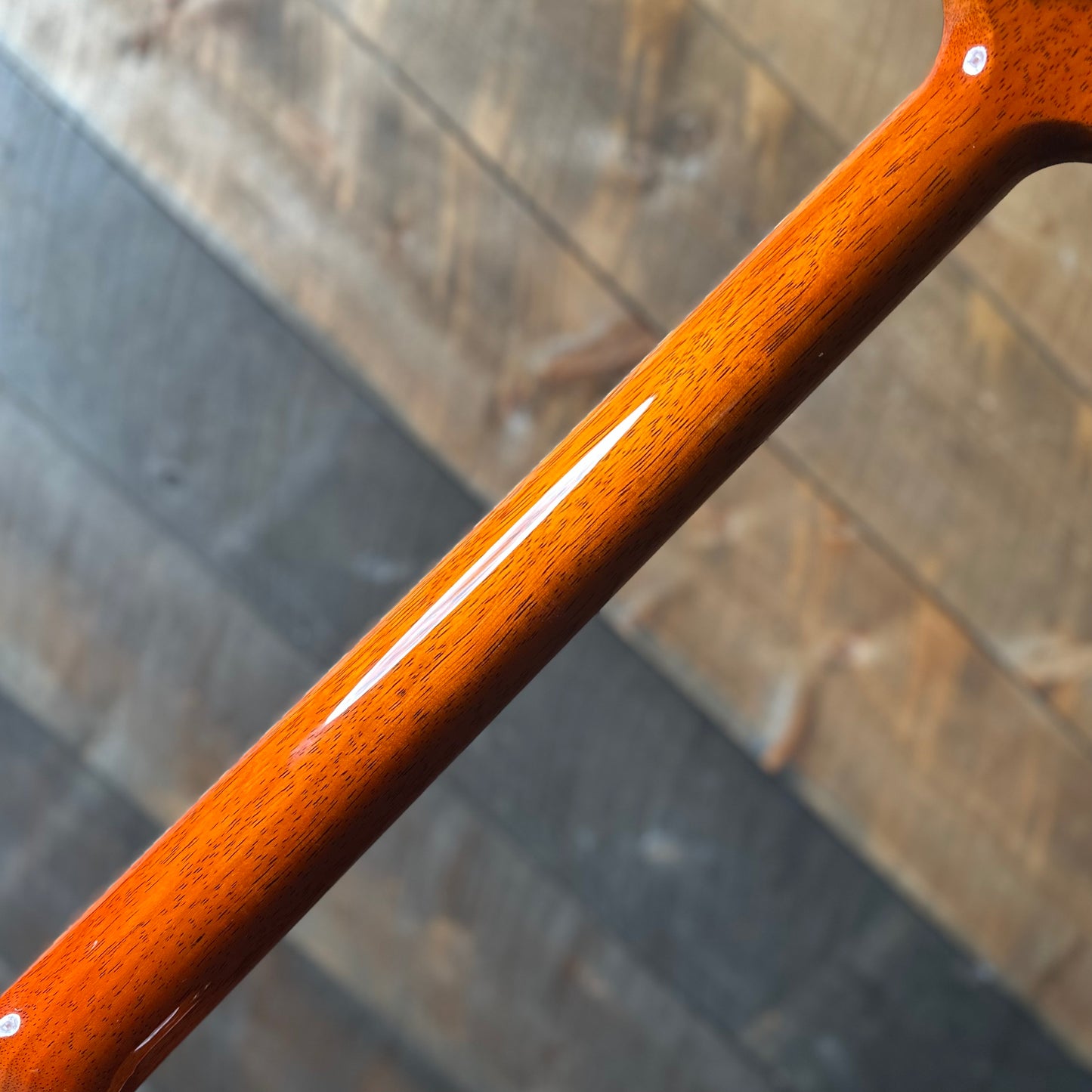 PRS Wood Library Santana Retro Korina Back & Neck, Ziricote FB!! - Autumn Sky 418562