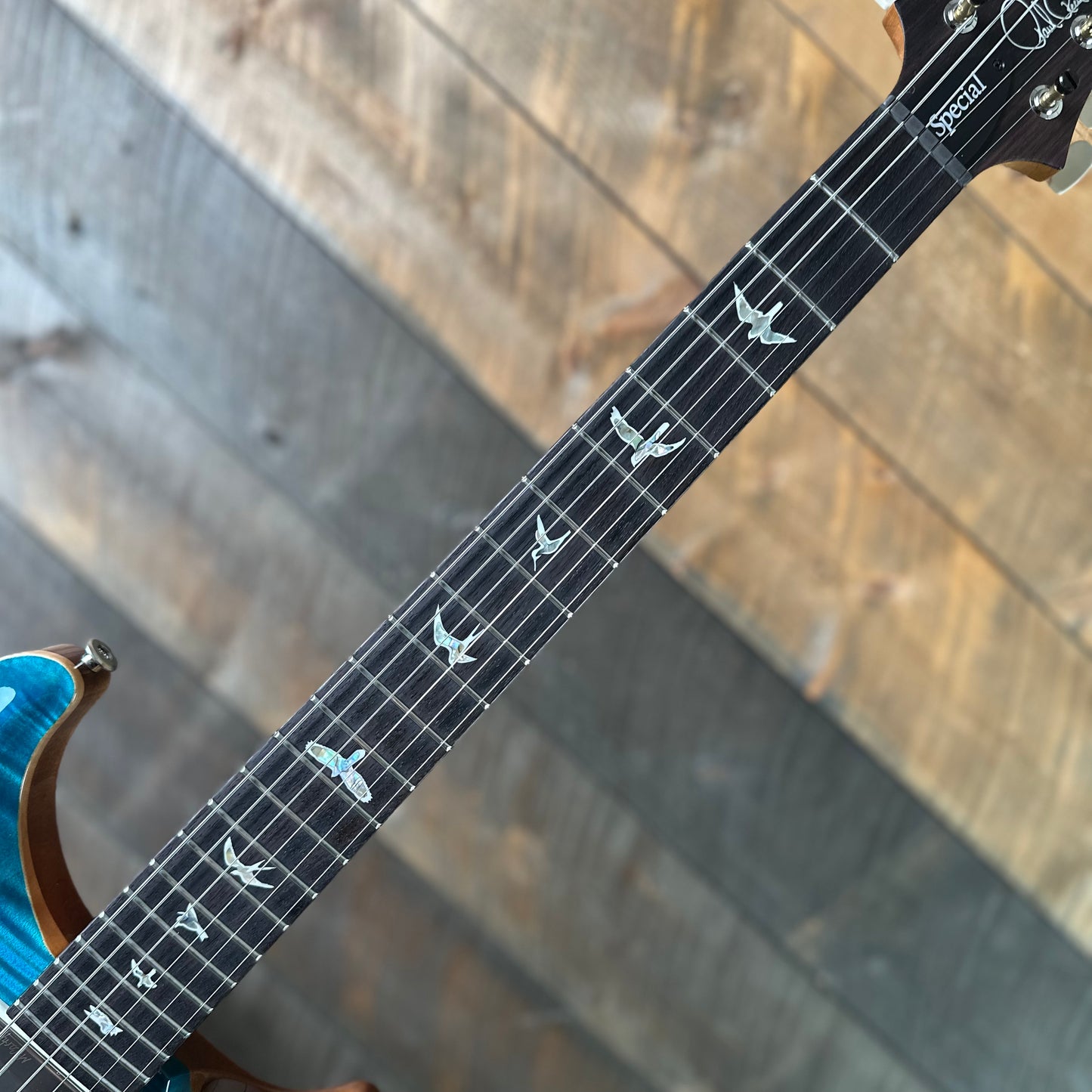 PRS Special Semi-Hollow - Carroll Blue 409613