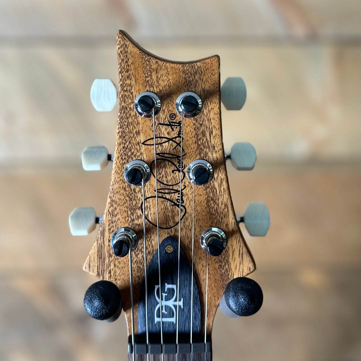 PRS DGT David Grissom Signature Wood Library Flame Maple 10 Top, Brazilian Rosewood FB - Copperhead 410963