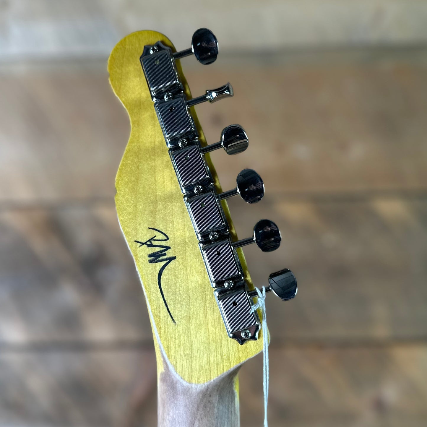 Nash T-68 - Paisley Medium Relic Lollar Pick Ups Maple Neck