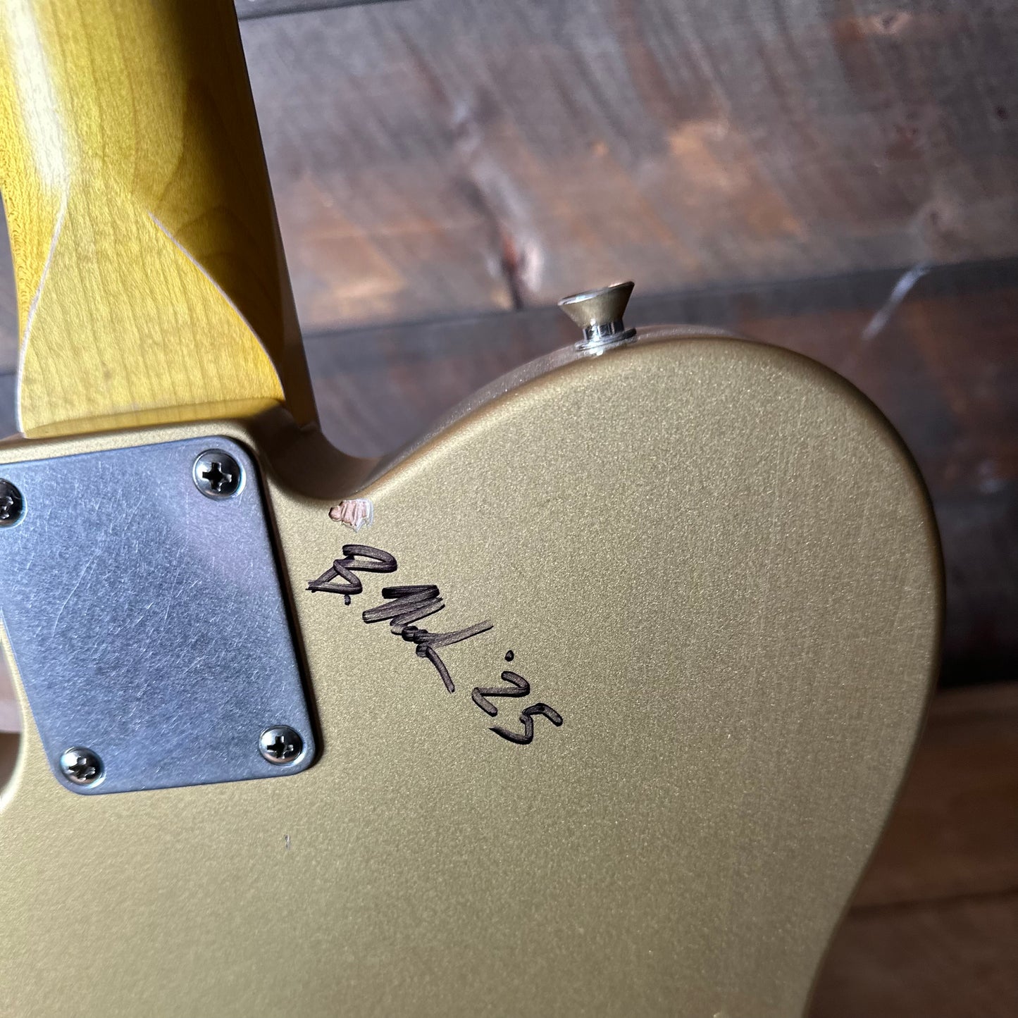 Nash T-63 Alder Body Light Aged - Rare Art Series Harlequin #4 NG-6310