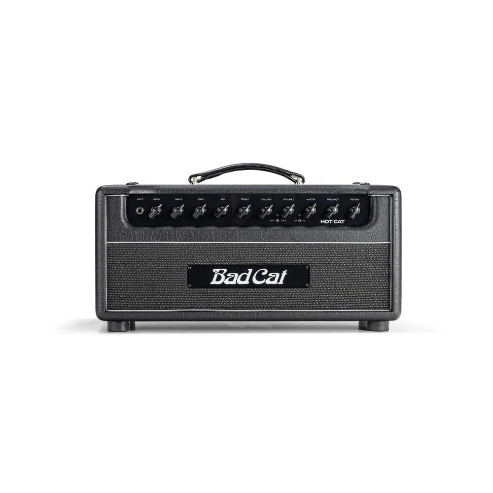 Bad Cat Hot Cat 50 Mod Shop Head - 120V