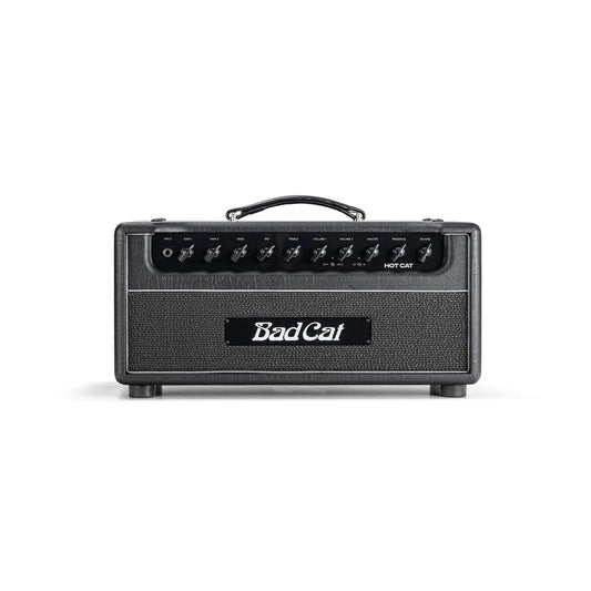 Bad Cat Hot Cat 50 Mod Shop Head - 120V
